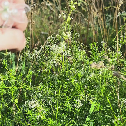 Lily of the Valley Ring